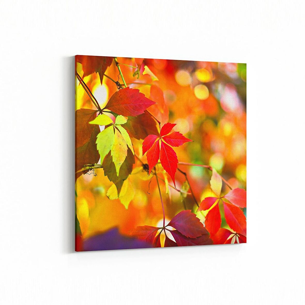 Olla 10479K Ağaç Görseli Kare Kanvas Tablo (Ölçü: 25X25)