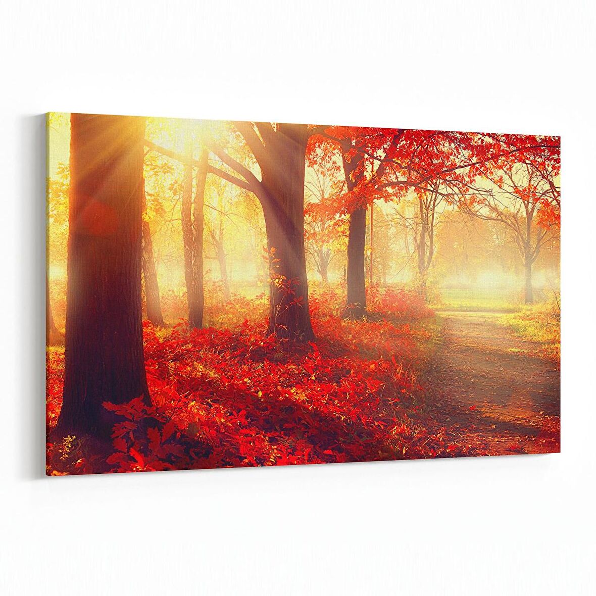 Olla 13725Y Doğa / Manzara Görseli Yatay Kanvas Tablo (Ölçü: 90X60)