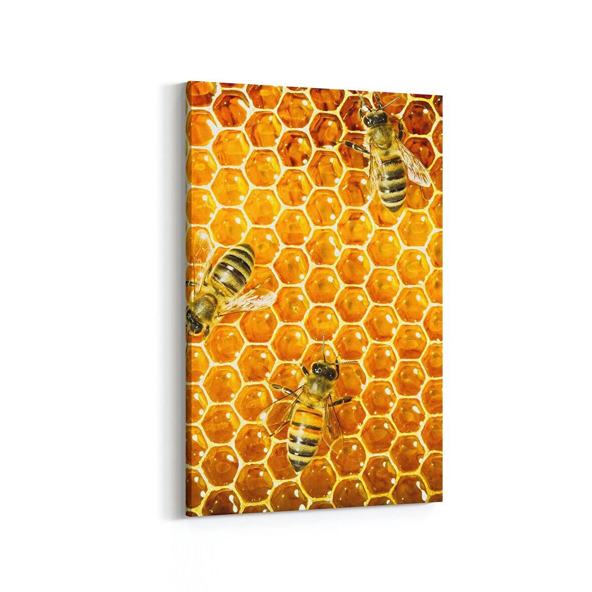 Olla 12499D Hayvanlar Alemi Görseli Dikey Kanvas Tablo (Ölçü: 20X30)