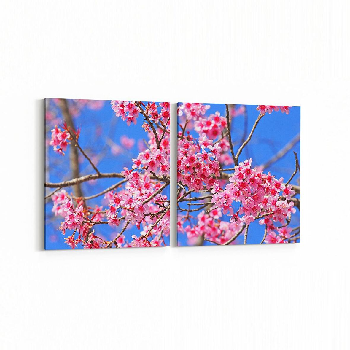 Olla 10548K2Y Ağaç Görseli Kare 2'li Yatay Kanvas Tablo (Ölçü: 105X50)