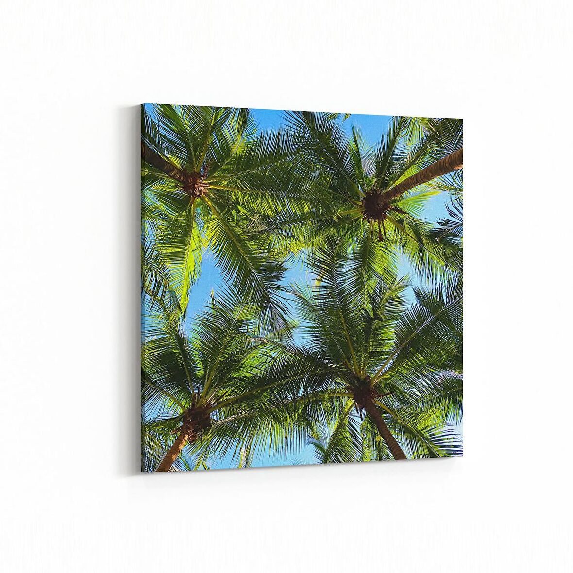 Olla 11489K Palmiye Ağacı Görseli Kare Kanvas Tablo (Ölçü: 30X30)