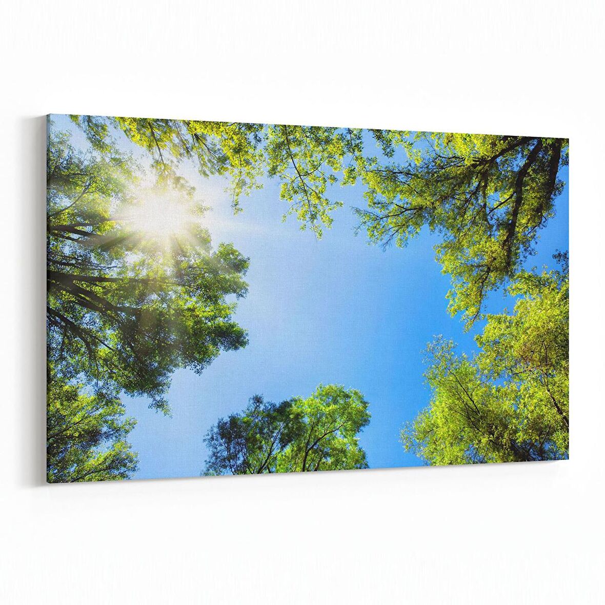 Olla 10656Y Ağaç Görseli Yatay Kanvas Tablo (Ölçü: 30X20)