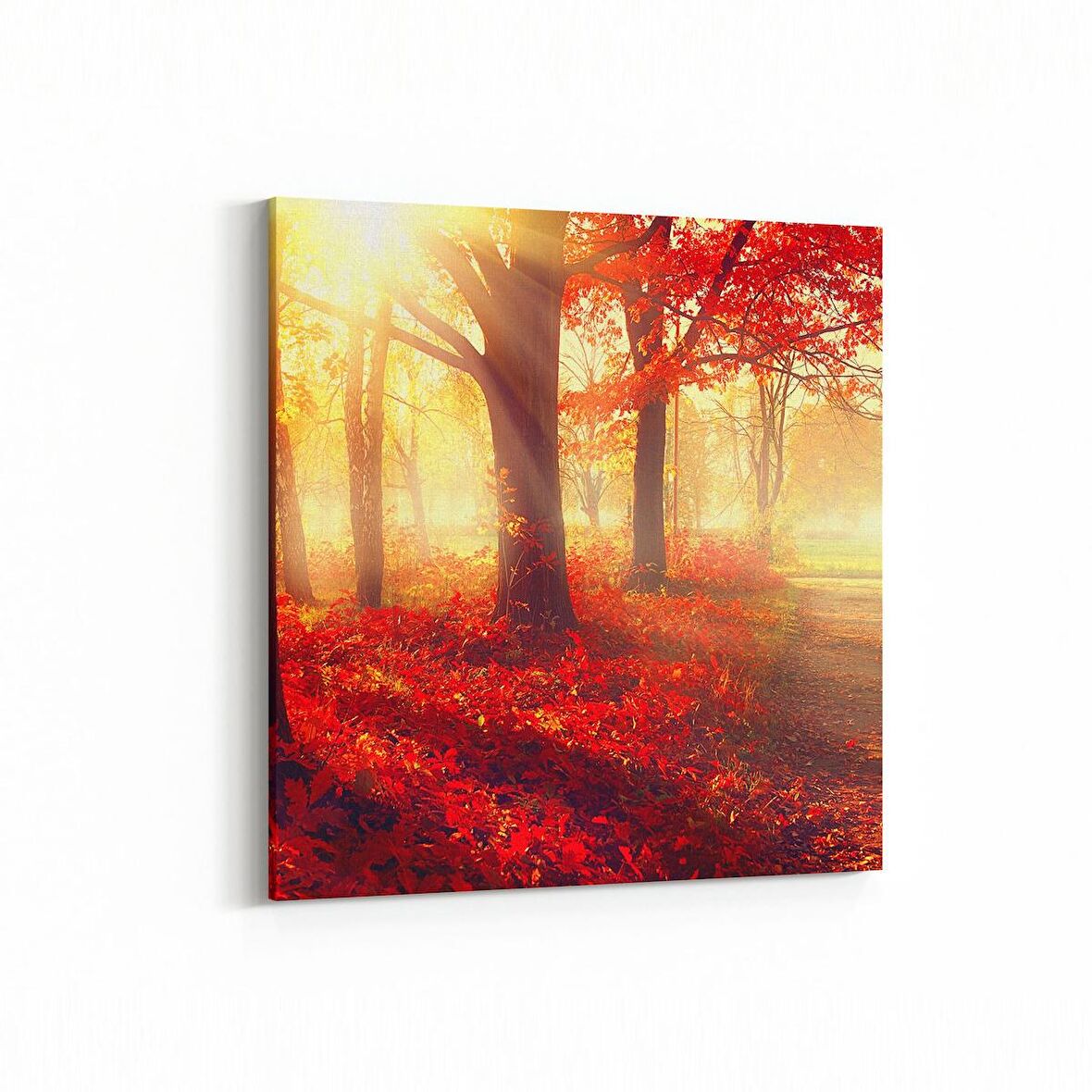 Olla 13725K Doğa / Manzara Görseli Kare Kanvas Tablo (Ölçü: 25X25)