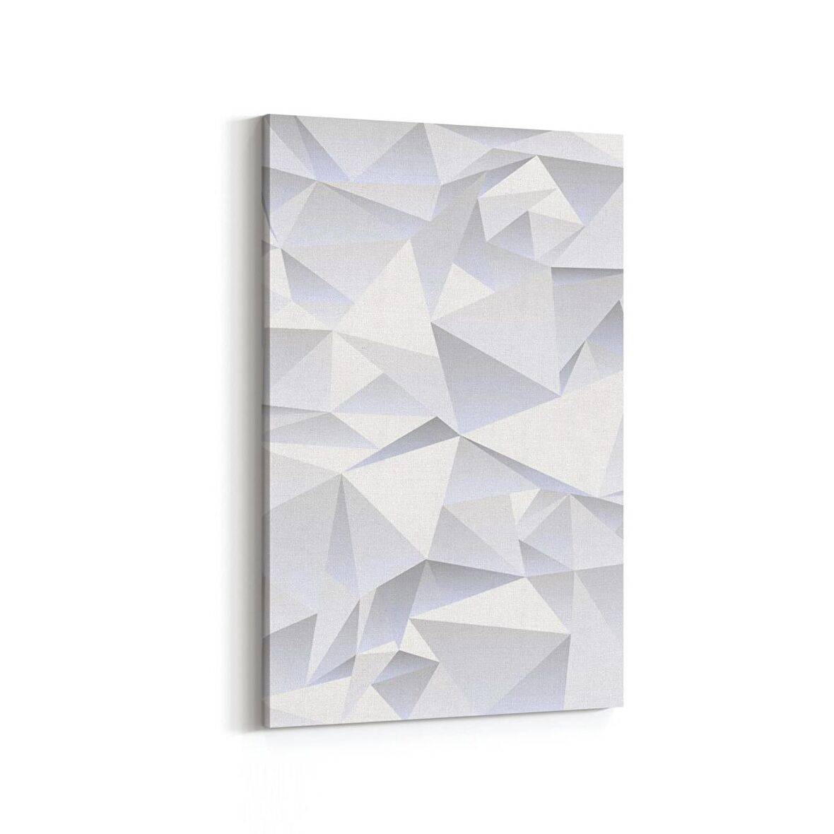 Olla 10445D Beyaz Kabartma Görseli Dikey Kanvas Tablo (Ölçü: 60X90)