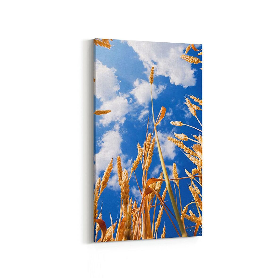 Olla 15283DD Gıda Görseli Dikey Dar Kanvas Tablo (Ölçü: 40X80)