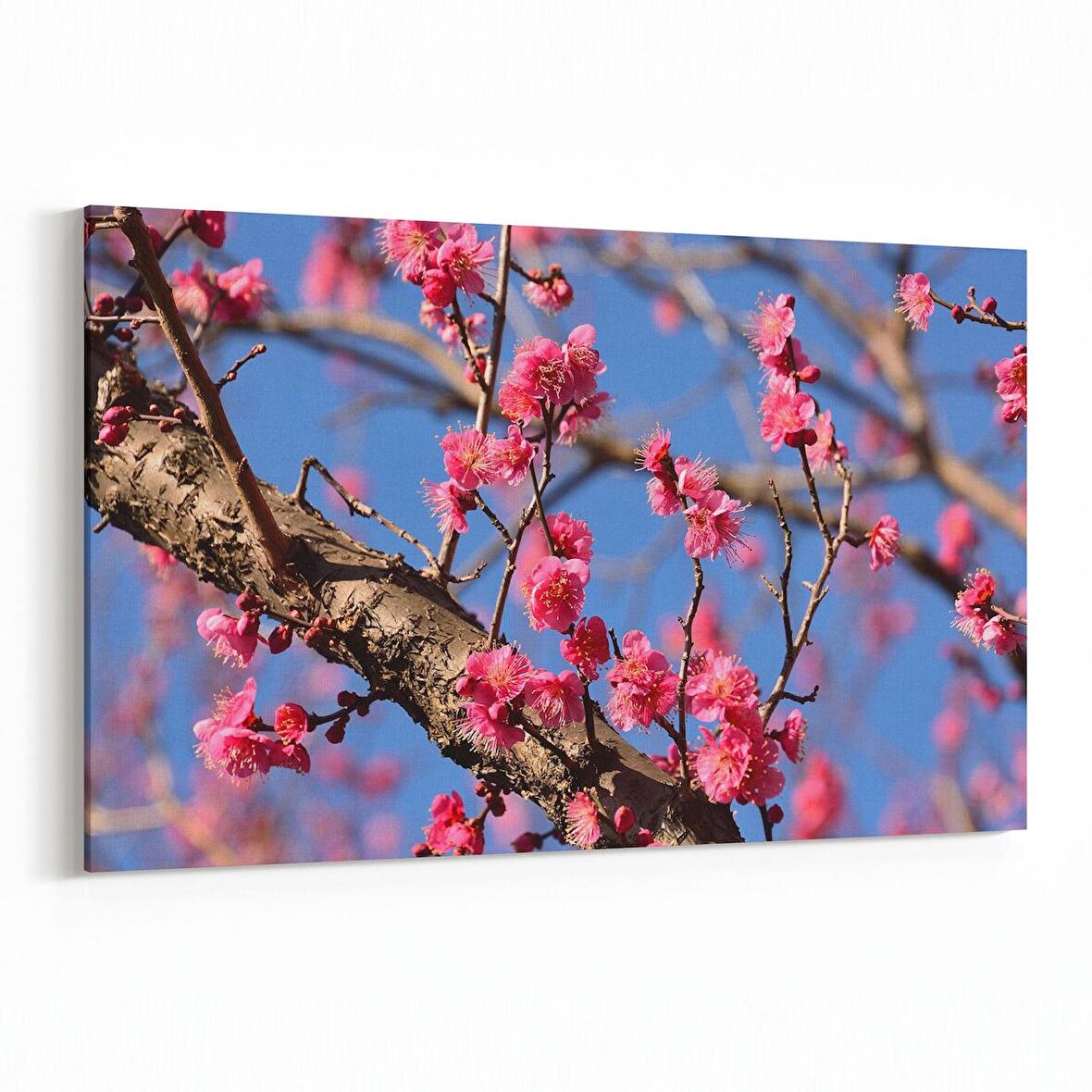 Olla 10925Y Ağaç Görseli Yatay Kanvas Tablo (Ölçü: 30X20)