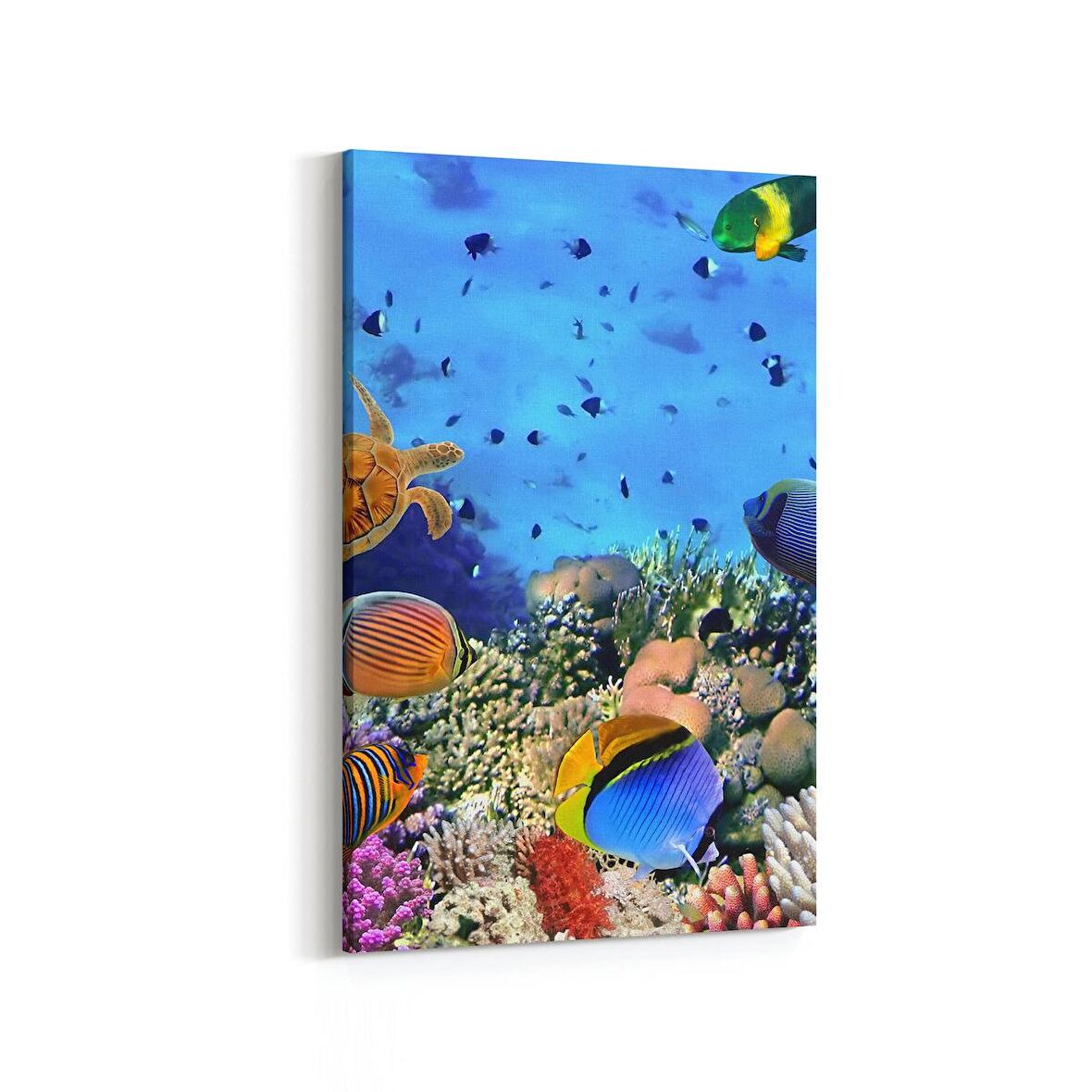 Olla 12061D Akvaryum / Balık Görseli Dikey Kanvas Tablo (Ölçü: 100X150)