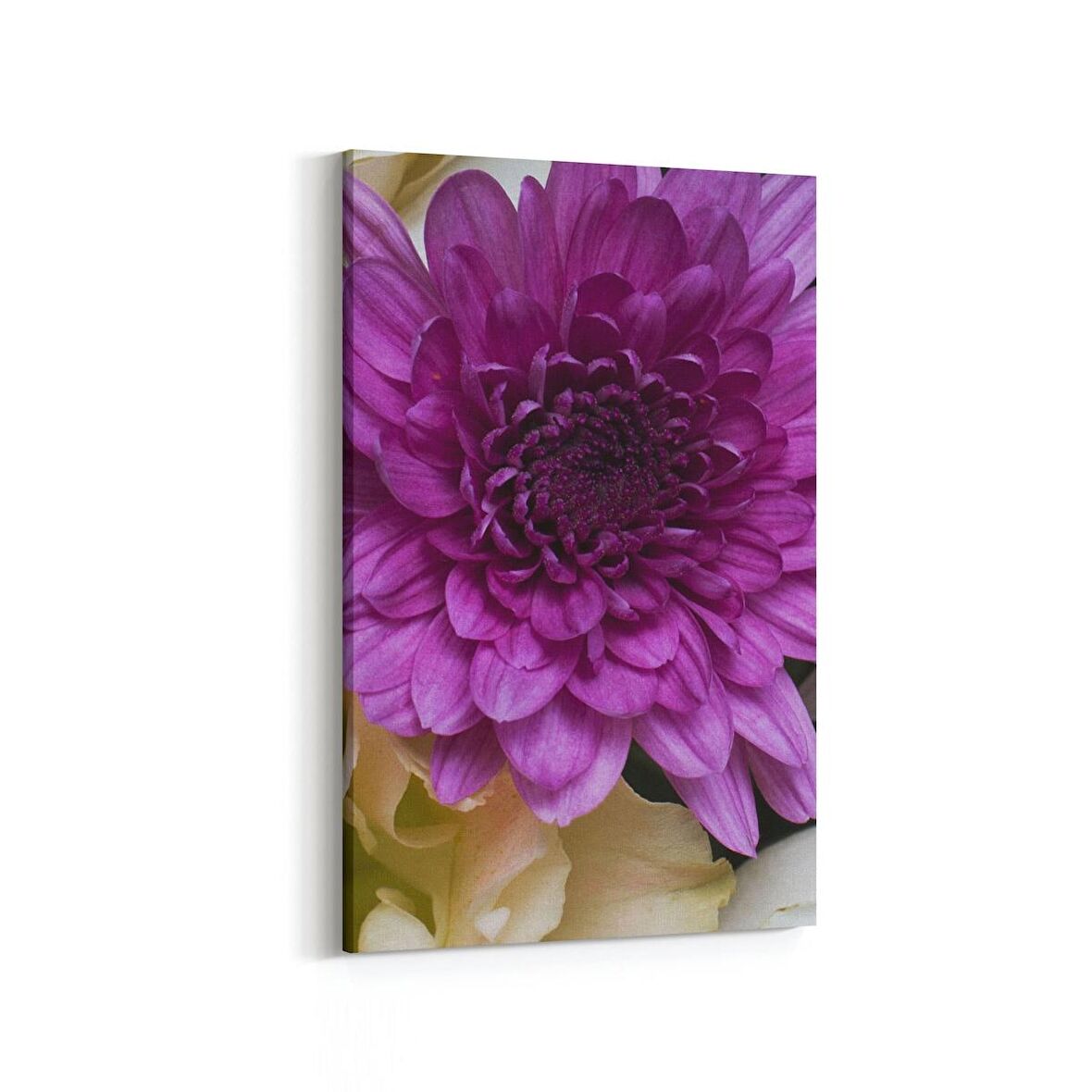 Olla 11637D Çiçek Görseli Dikey Kanvas Tablo (Ölçü: 100X150)