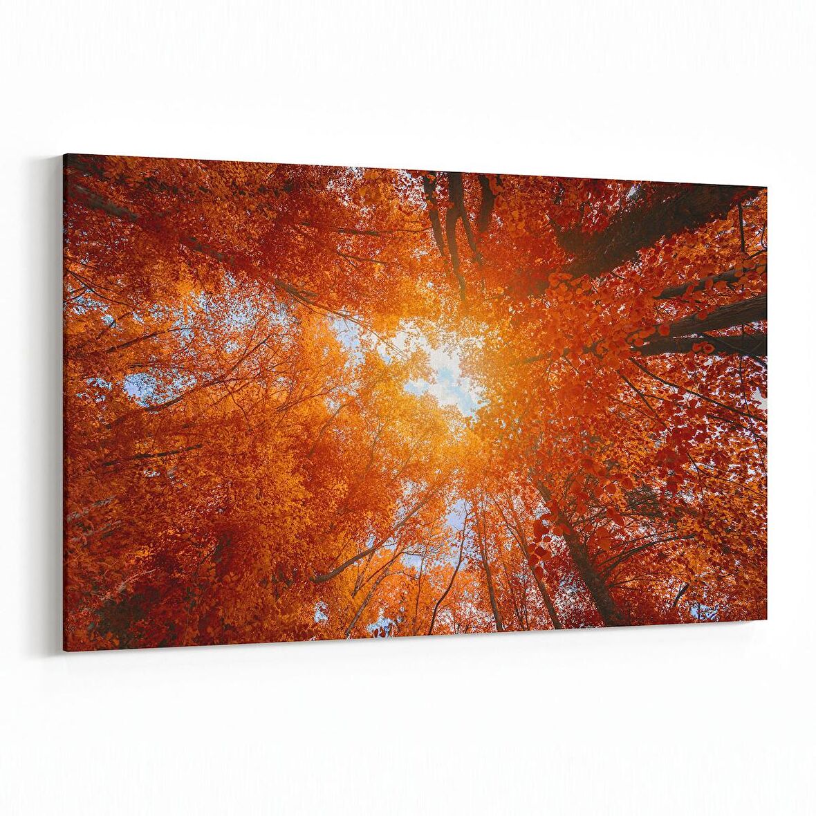 Olla 10509Y Ağaç Görseli Yatay Kanvas Tablo (Ölçü: 90X60)