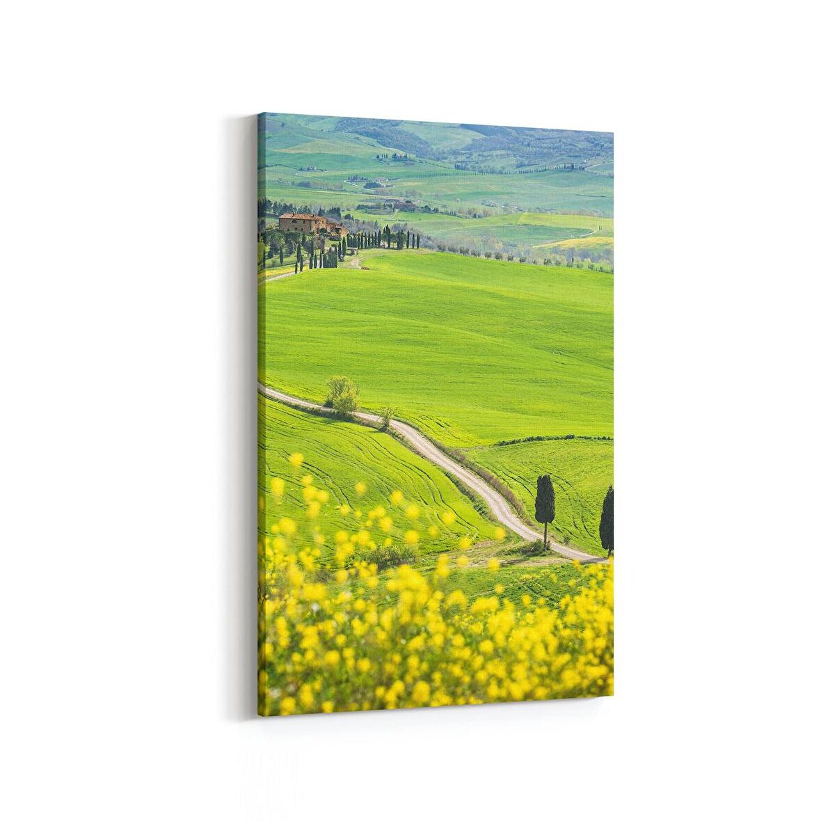 Olla 14007D Doğa / Manzara Görseli Dikey Kanvas Tablo (Ölçü: 60X90)