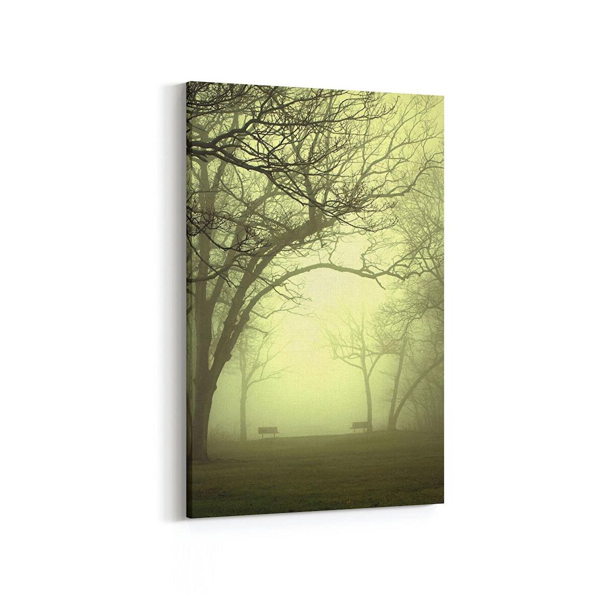 Olla 13884D Doğa / Manzara Görseli Dikey Kanvas Tablo (Ölçü: 100X150)