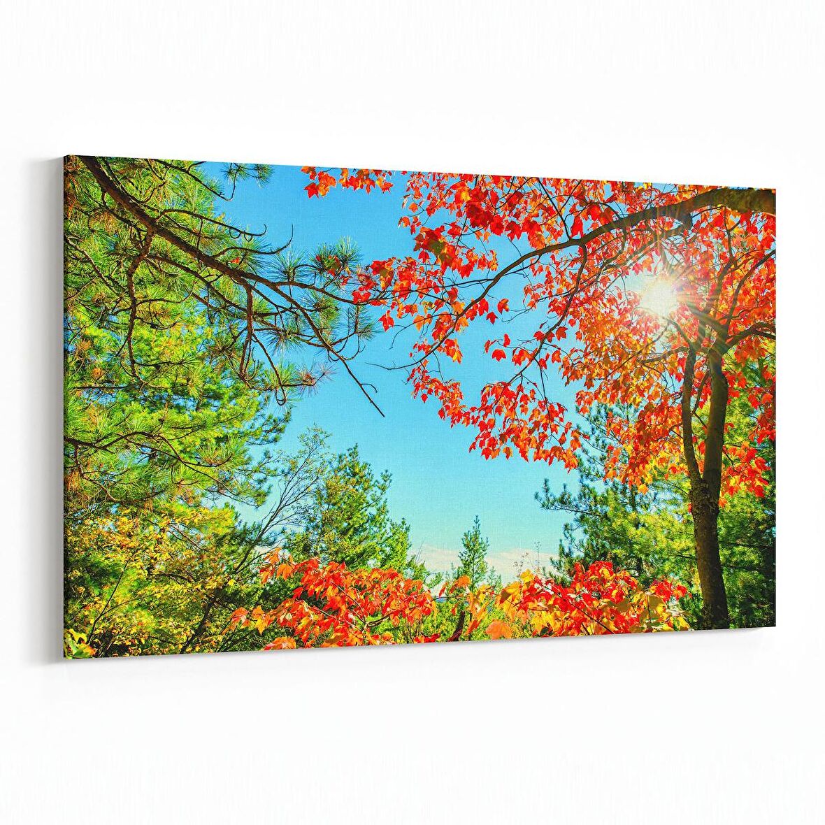 Olla 10698Y Ağaç Görseli Yatay Kanvas Tablo (Ölçü: 30X20)