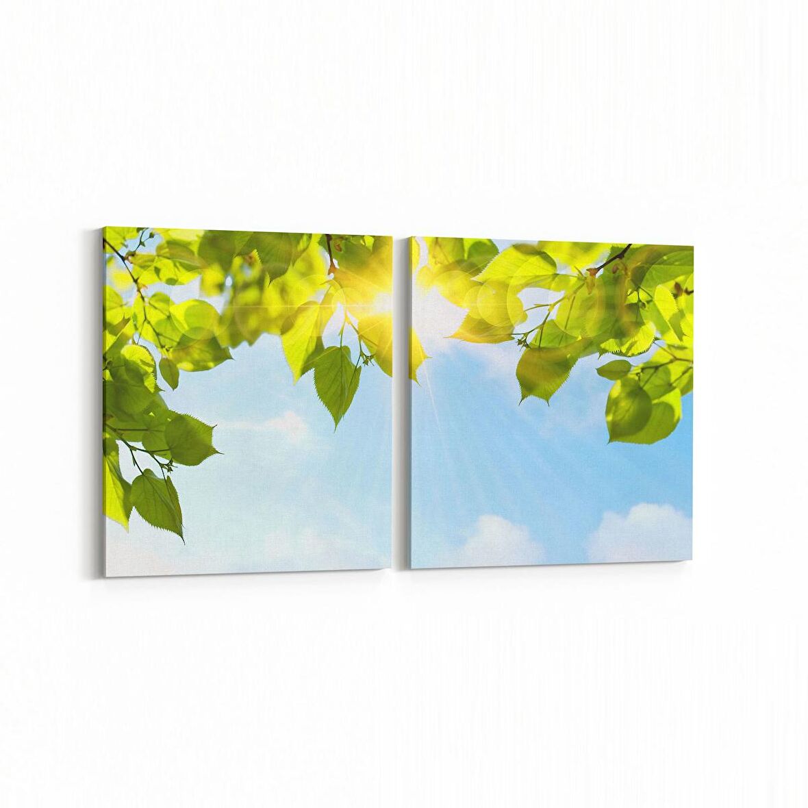 Olla 10558K2Y Ağaç Görseli Kare 2'li Yatay Kanvas Tablo (Ölçü: 145X70)