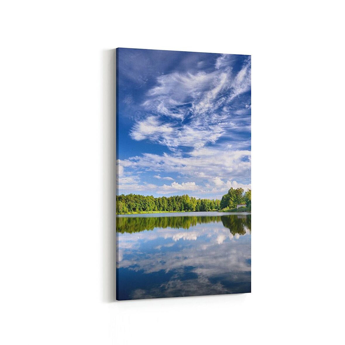 Olla 13585DD Doğa / Manzara Görseli Dikey Dar Kanvas Tablo (Ölçü: 40X80)