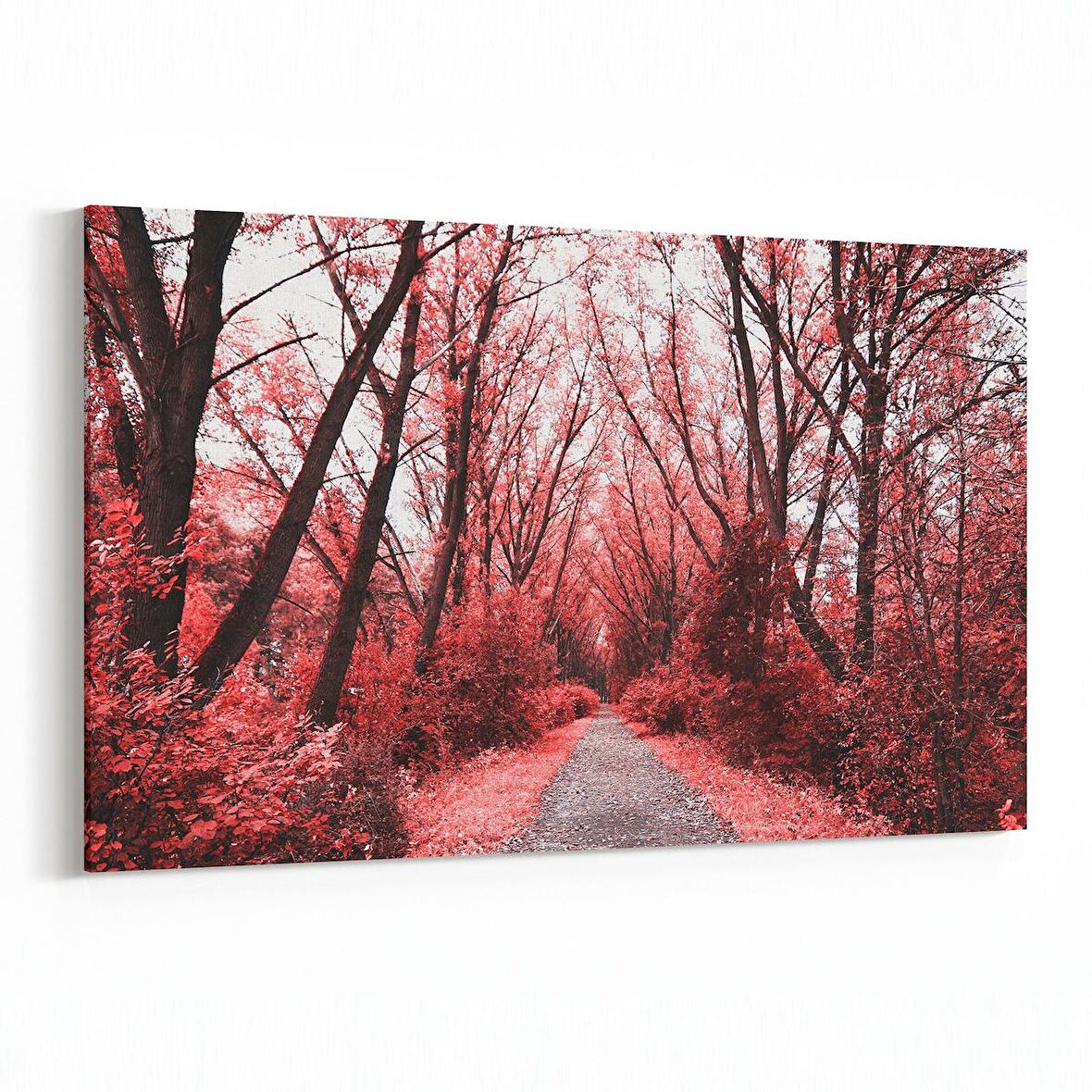 Olla 13583Y Doğa / Manzara Görseli Yatay Kanvas Tablo (Ölçü: 90X60)