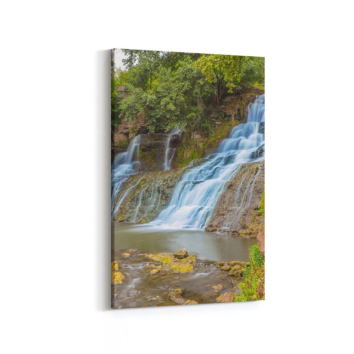 Olla 14151D Doğa / Manzara Görseli Dikey Kanvas Tablo (Ölçü: 20X30)