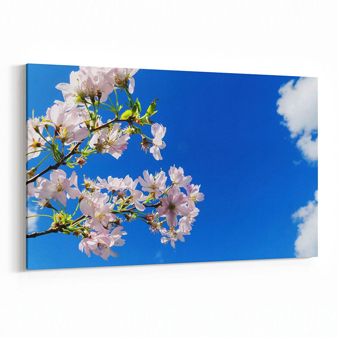 Olla 10961Y Ağaç Görseli Yatay Kanvas Tablo (Ölçü: 45X30)