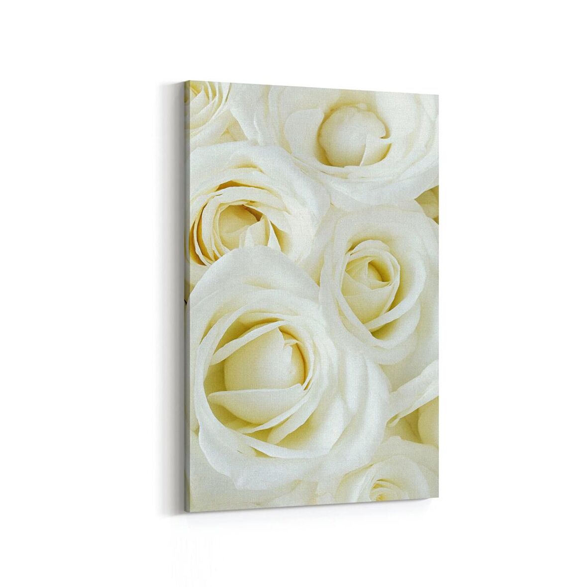 Olla 11646D Çiçek Görseli Dikey Kanvas Tablo (Ölçü: 60X90)