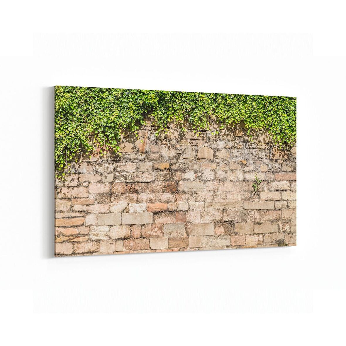 Olla 17336Y Taş / Tuğla Görseli Yatay Kanvas Tablo (Ölçü: 120X80)