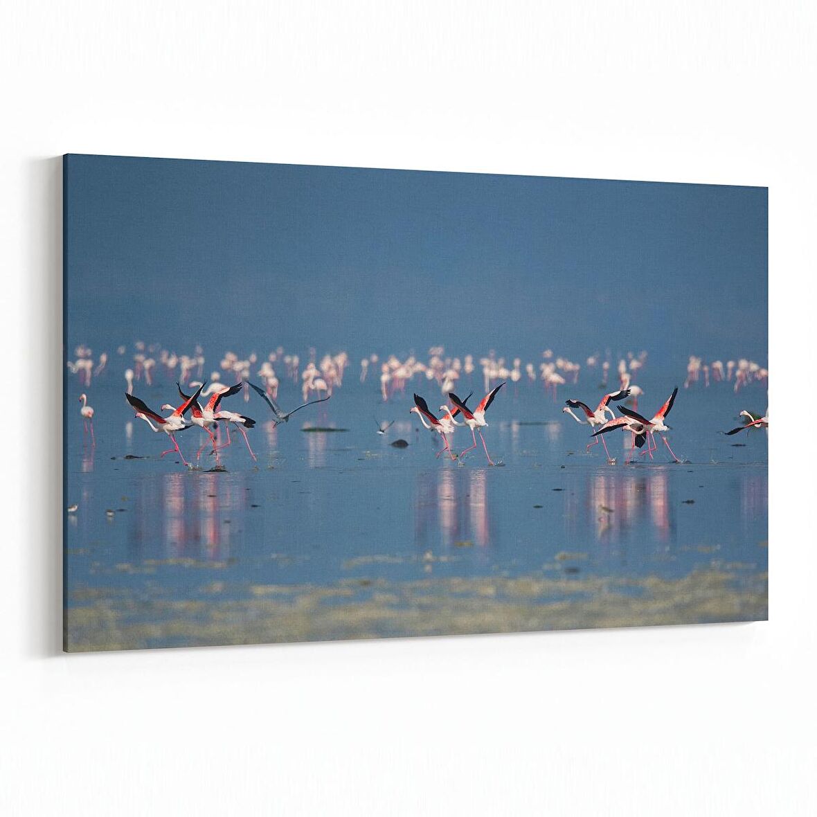 Olla 13427Y Doğa / Manzara Görseli Yatay Kanvas Tablo (Ölçü: 90X60)