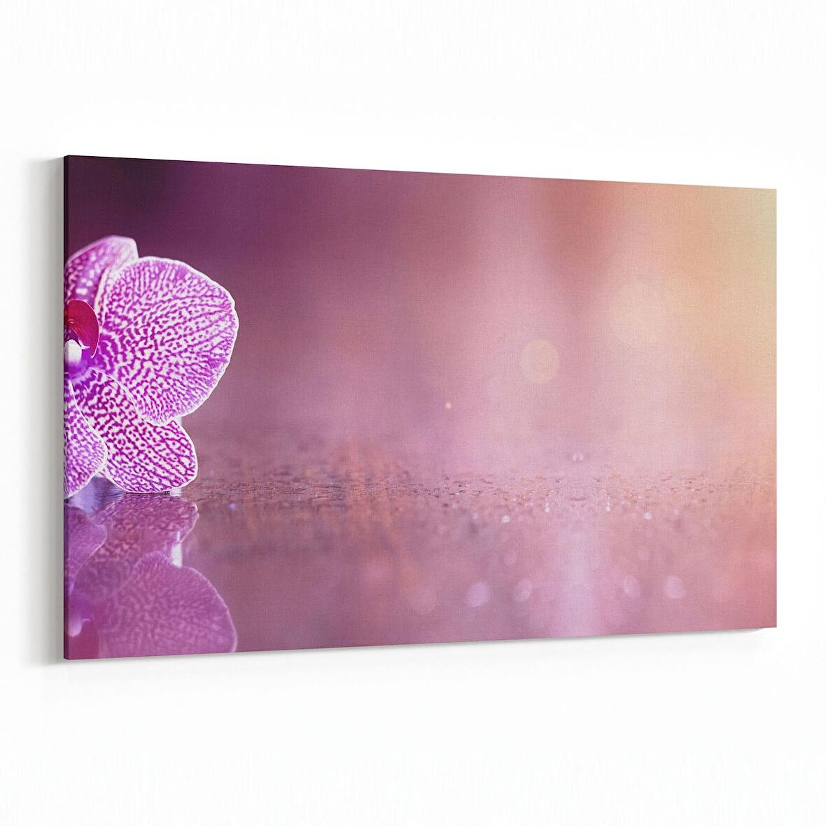 Olla 11724Y Orkide Çiçek Görseli Yatay Kanvas Tablo (Ölçü: 90X60)