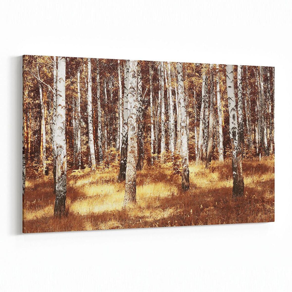 Olla 14095Y Doğa / Manzara Görseli Yatay Kanvas Tablo (Ölçü: 90X60)