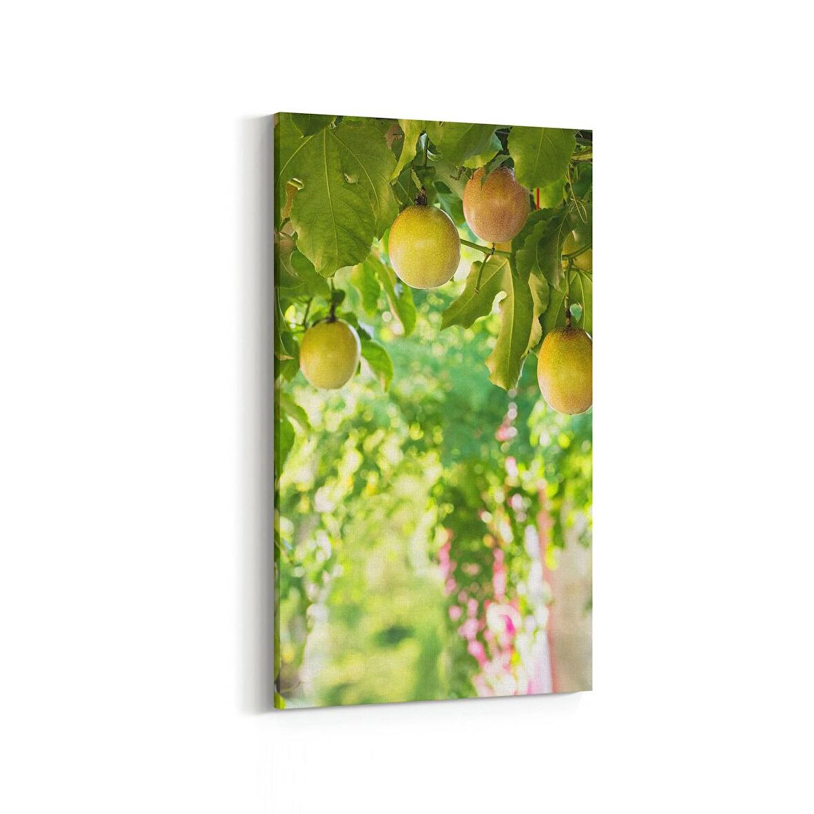 Olla 14962DD Gıda Görseli Dikey Dar Kanvas Tablo (Ölçü: 60X120)