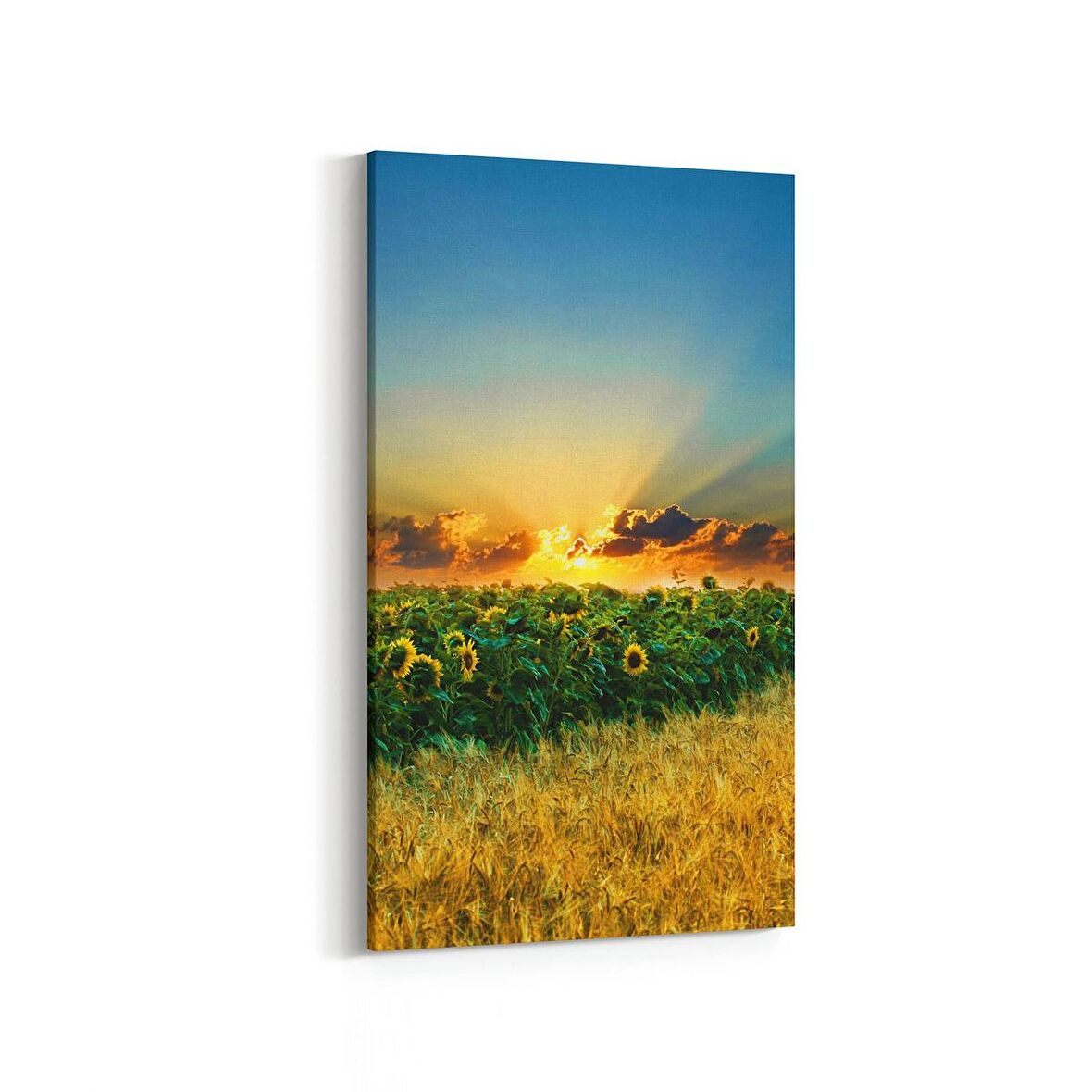 Olla 15978DD Günbatımı Görseli Dikey Dar Kanvas Tablo (Ölçü: 40X80)