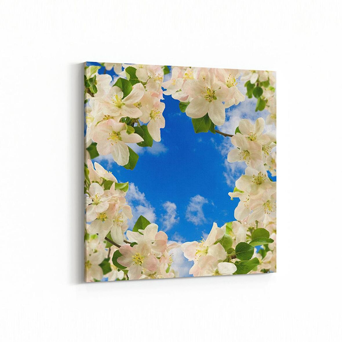 Olla 10685K Ağaç Görseli Kare Kanvas Tablo (Ölçü: 60X60)