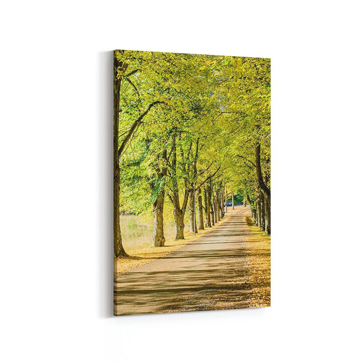 Olla 13285D Doğa / Manzara Görseli Dikey Kanvas Tablo (Ölçü: 100X150)