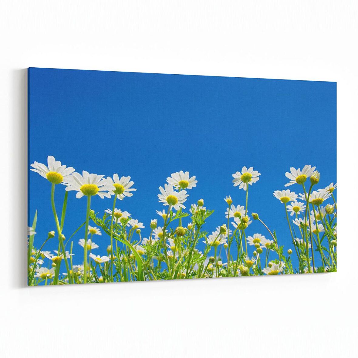 Olla 10712Y Ağaç Görseli Yatay Kanvas Tablo (Ölçü: 70X50)