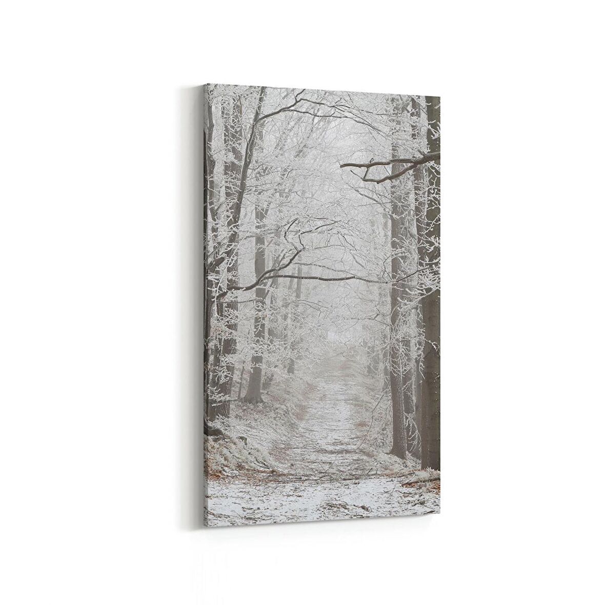 Olla 14451DD Doğa / Manzara Görseli Dikey Dar Kanvas Tablo (Ölçü: 30X60)