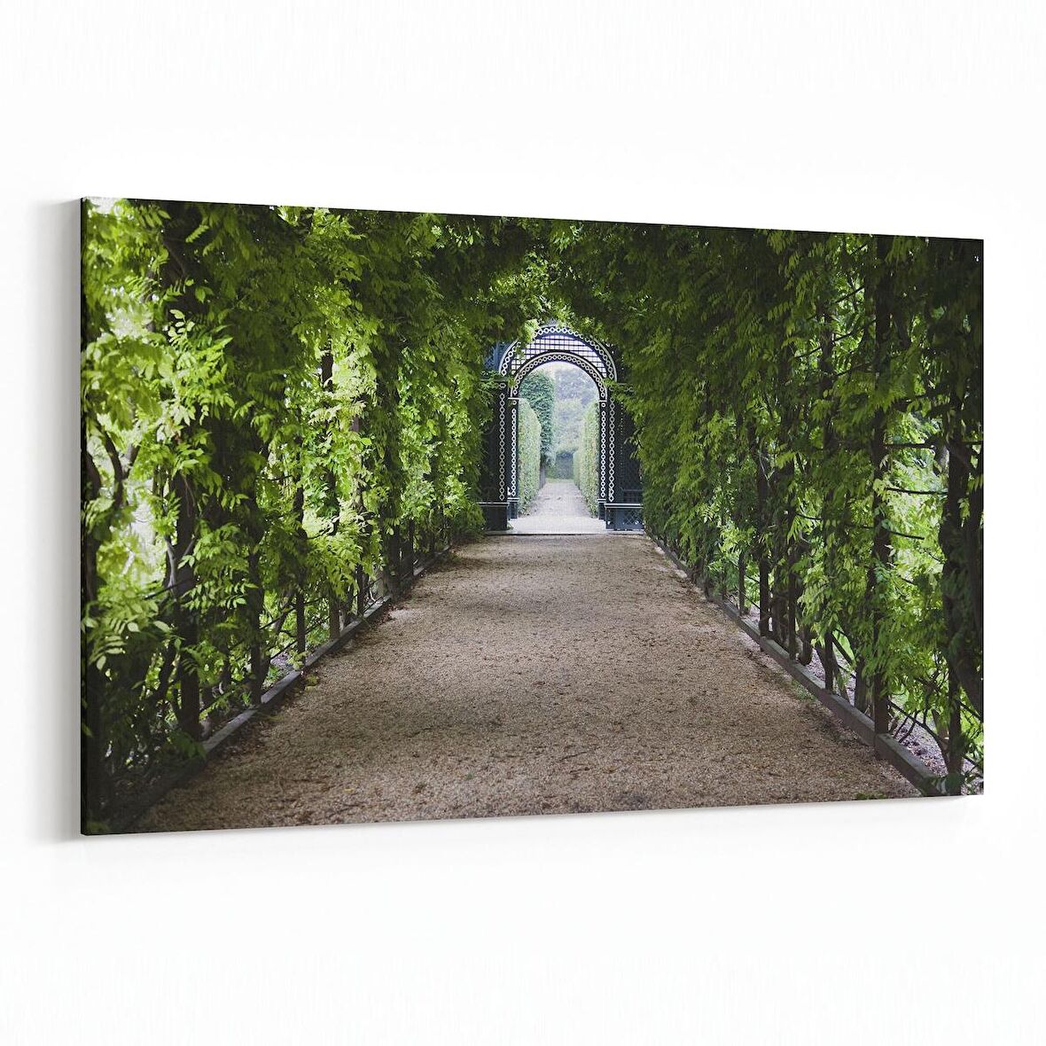 Olla 13996Y Doğa / Manzara Görseli Yatay Kanvas Tablo (Ölçü: 70X50)