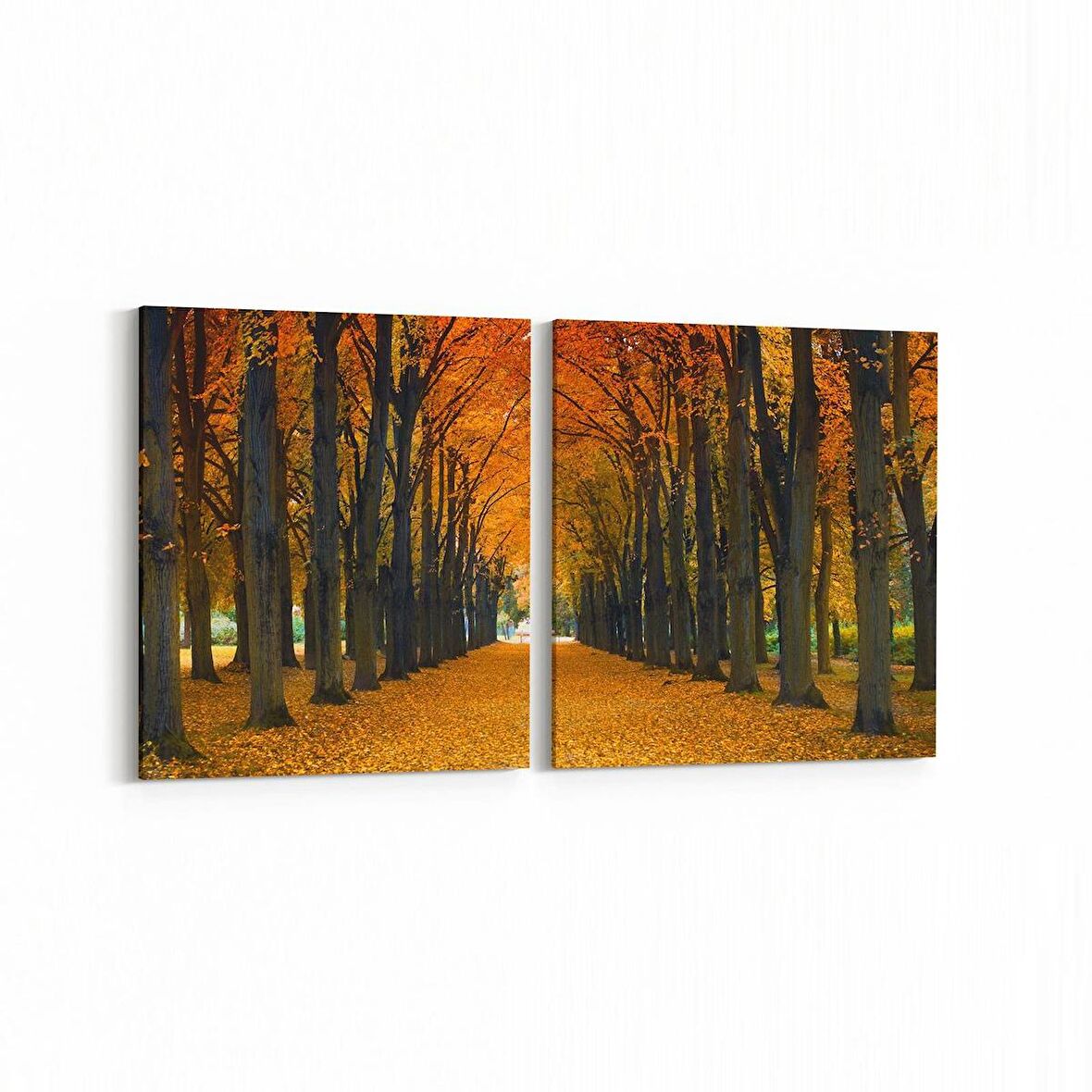 Olla 14026K2Y Doğa / Manzara Görseli Kare 2'li Yatay Kanvas Tablo (Ölçü: 145X70)