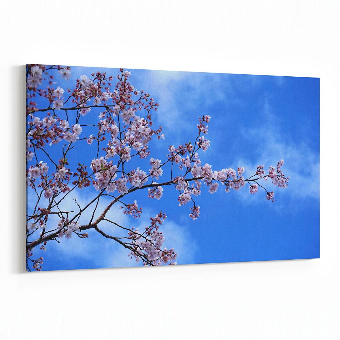 Olla 10957Y Ağaç Görseli Yatay Kanvas Tablo (Ölçü: 120X80)