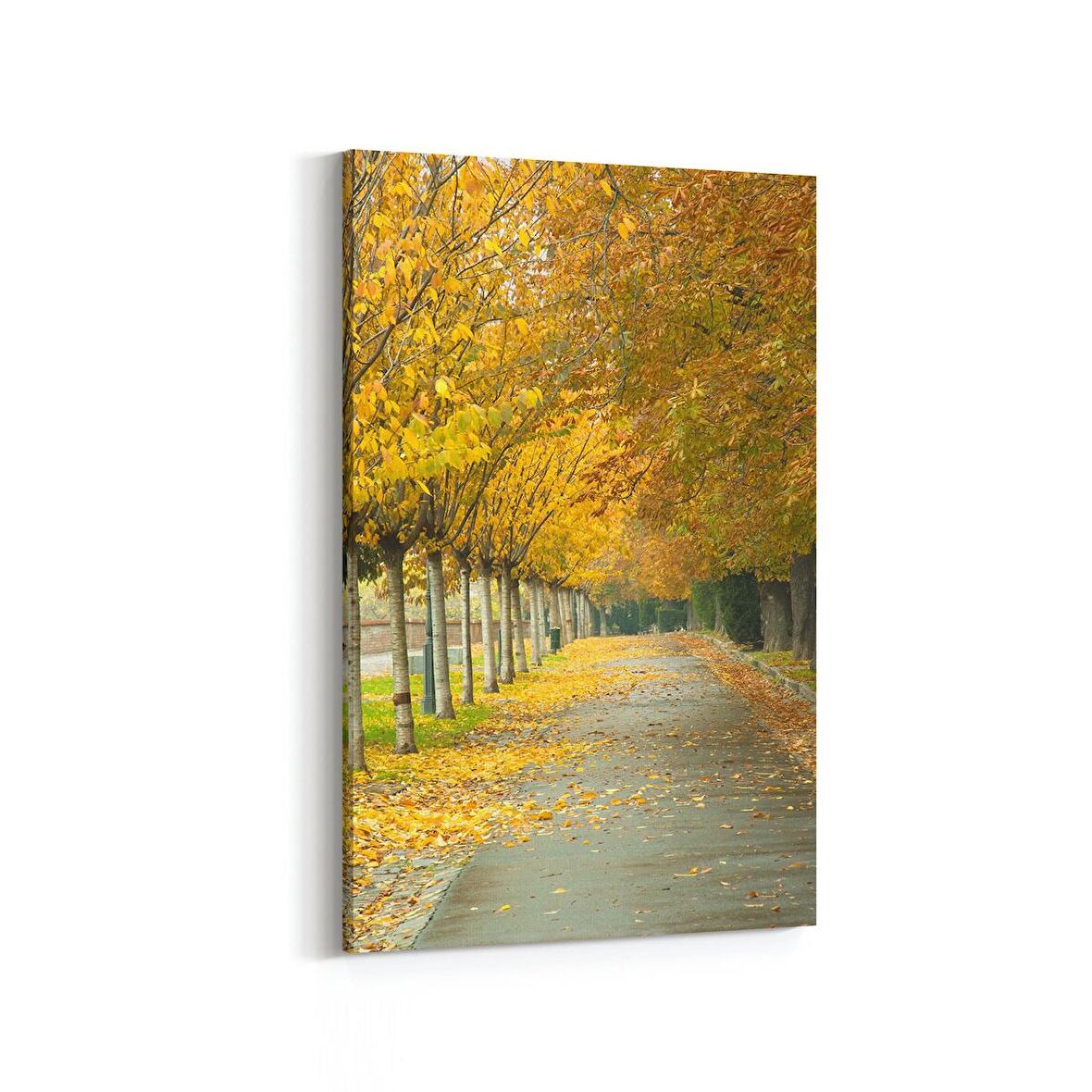 Olla 13525D Doğa / Manzara Görseli Dikey Kanvas Tablo (Ölçü: 60X90)