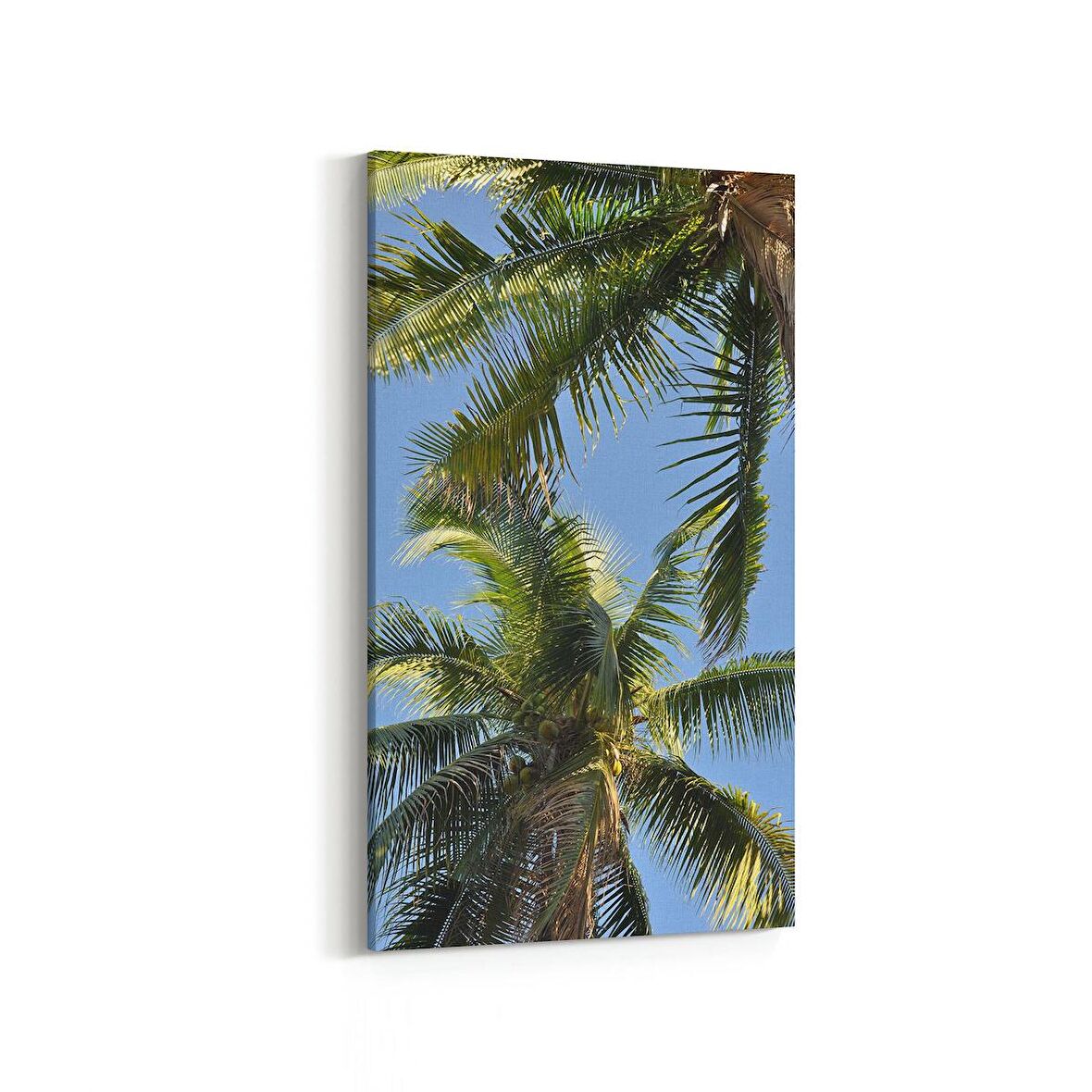 Olla 11526DD Palmiye Ağacı Görseli Dikey Dar Kanvas Tablo (Ölçü: 40X80)