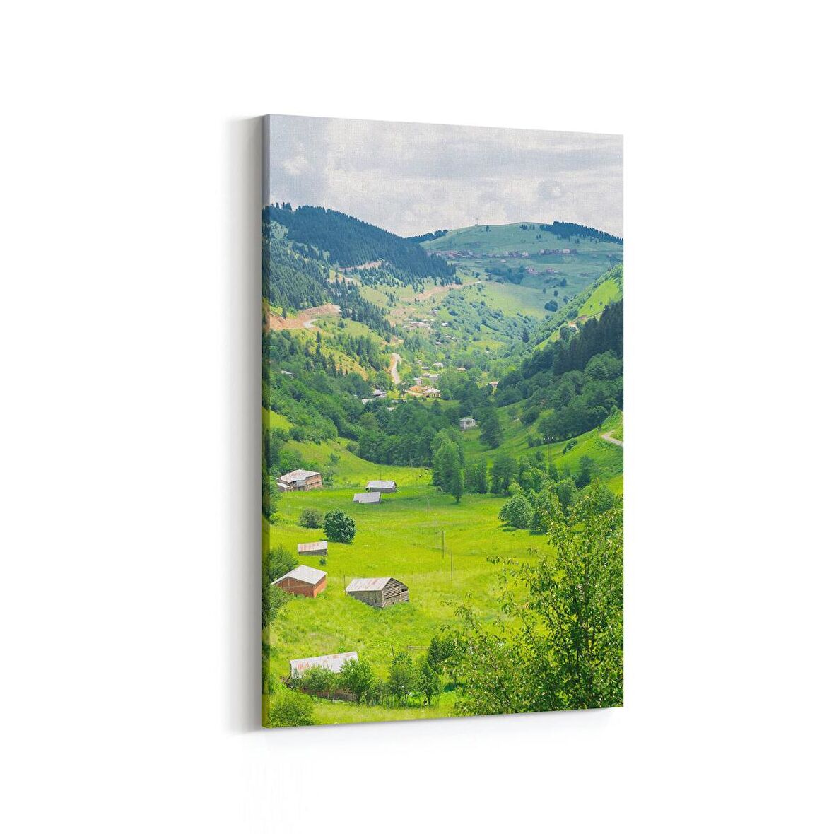 Olla 14203D Doğa / Manzara Görseli Dikey Kanvas Tablo (Ölçü: 60X90)