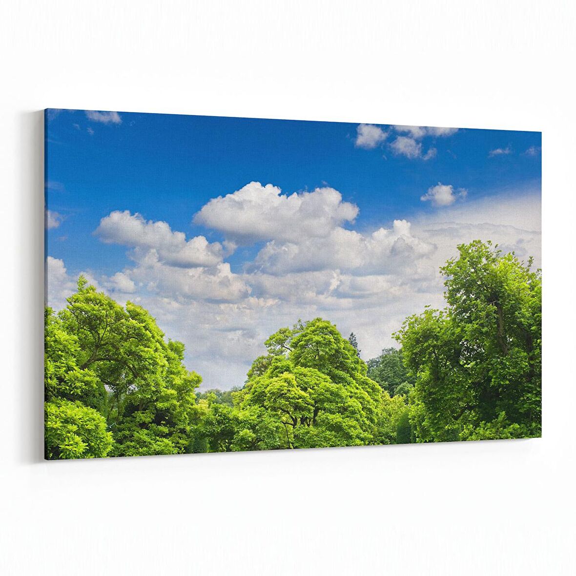 Olla 14562Y Doğa / Manzara Görseli Yatay Kanvas Tablo (Ölçü: 150X100)