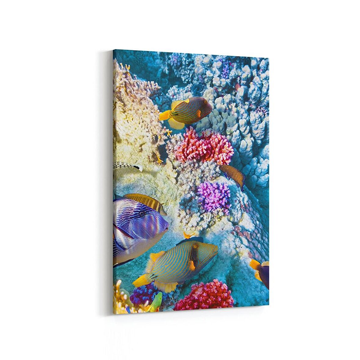 Olla 12131D Akvaryum / Balık Görseli Dikey Kanvas Tablo (Ölçü: 70X105)