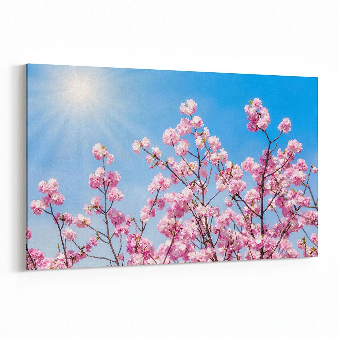 Olla 10569Y Ağaç Görseli Yatay Kanvas Tablo (Ölçü: 30X20)