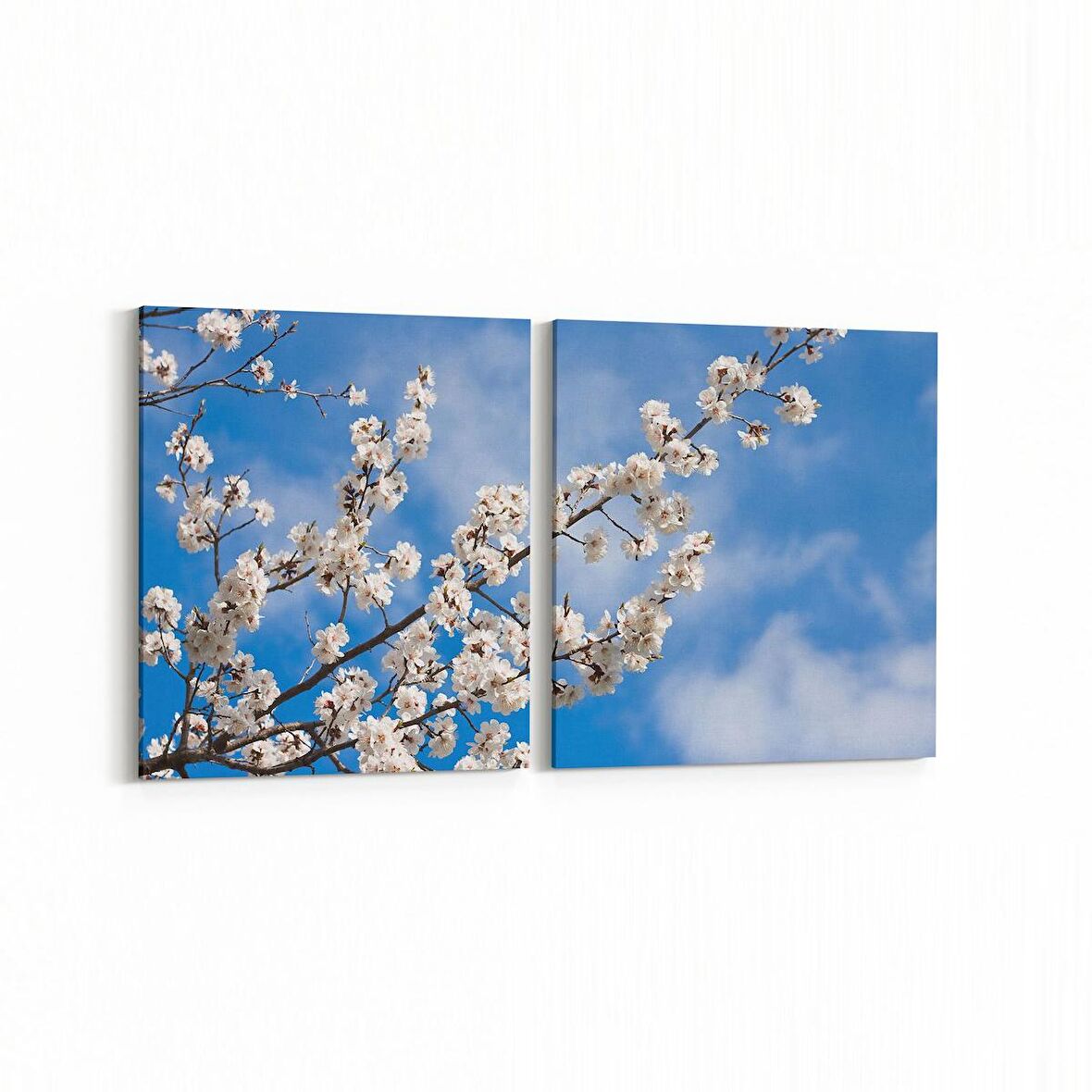 Olla 10700K2Y Ağaç Görseli Kare 2'li Yatay Kanvas Tablo (Ölçü: 85X40)