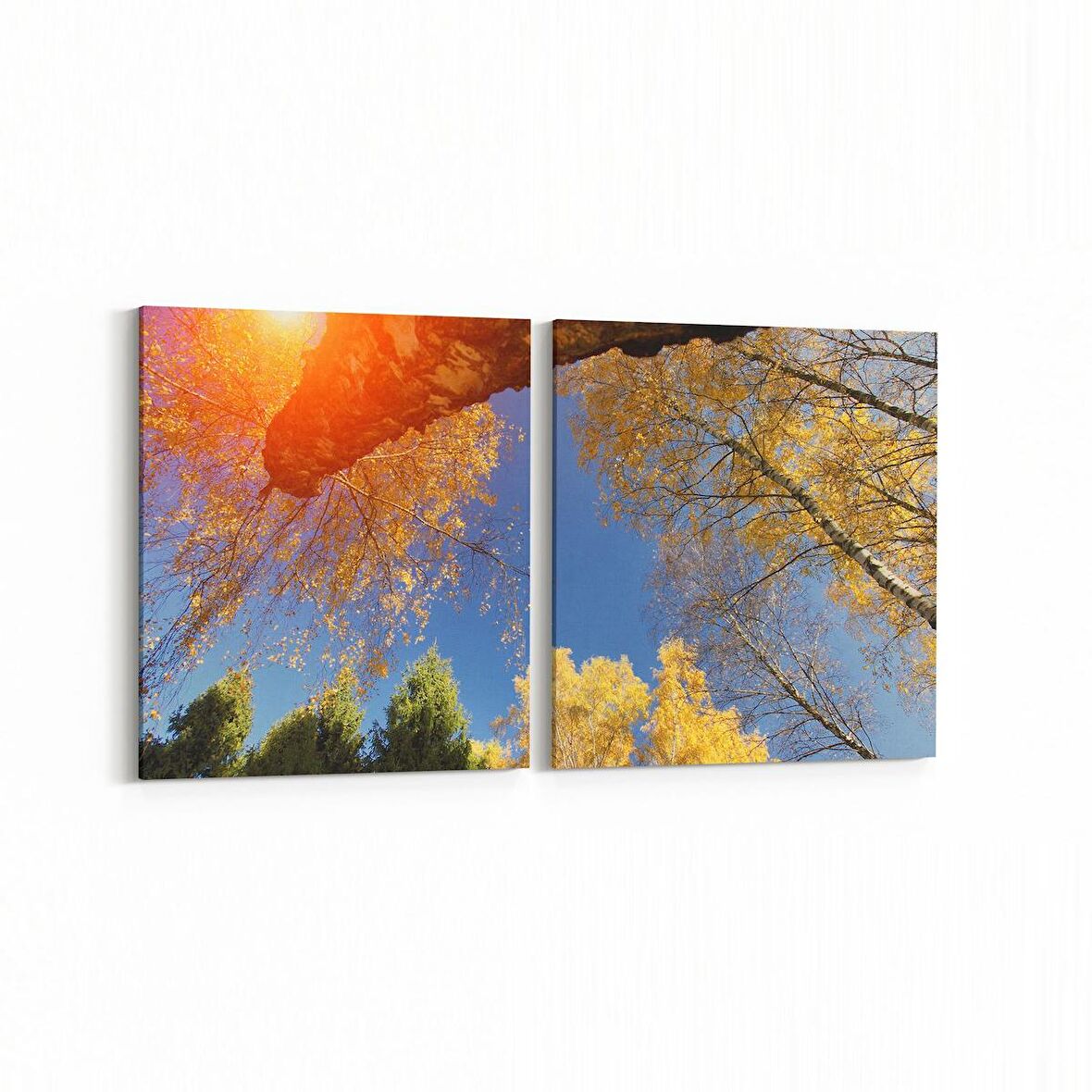 Olla 10706K2Y Ağaç Görseli Kare 2'li Yatay Kanvas Tablo (Ölçü: 65X30)