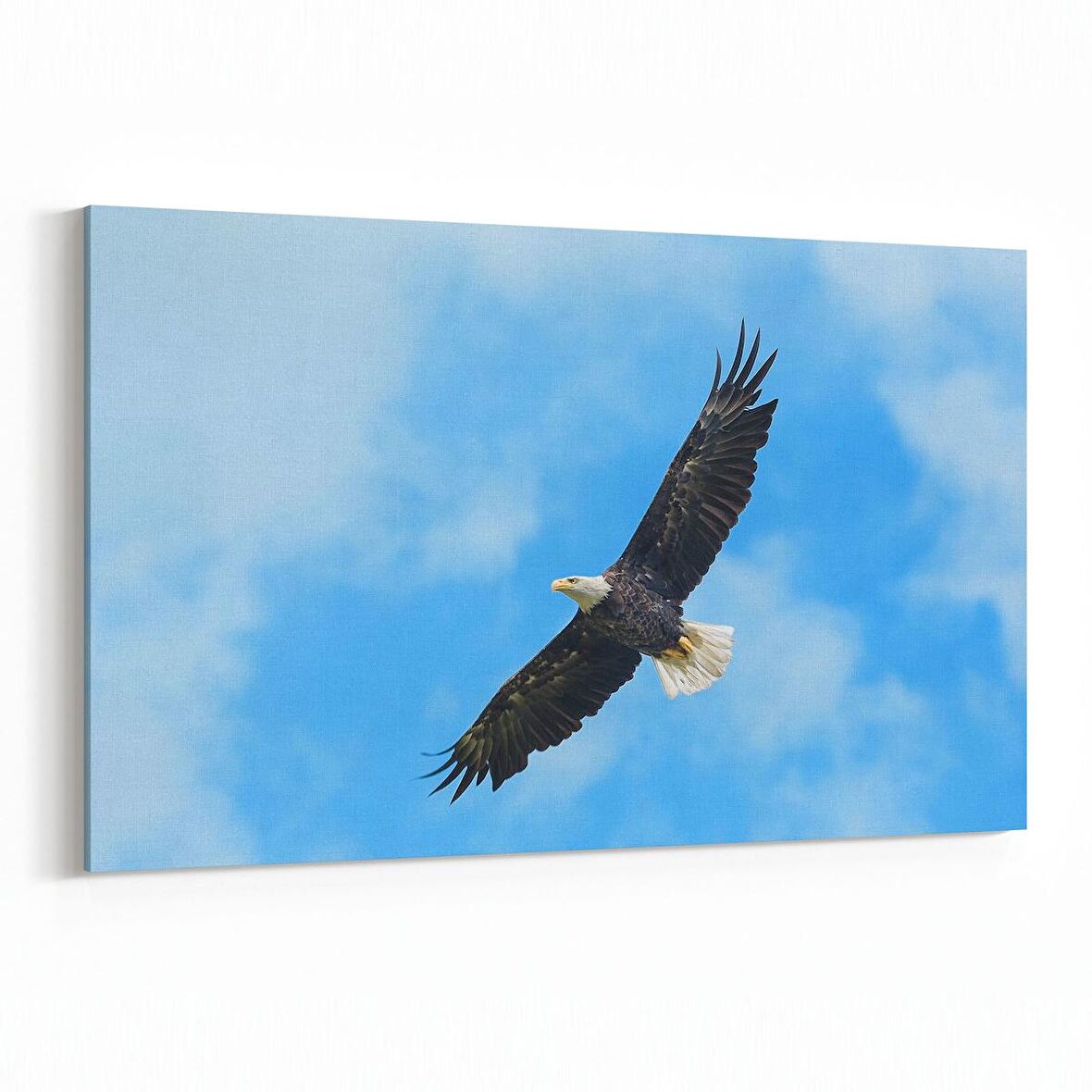 Olla 15825Y Gökyüzü Kuşlar Görseli Yatay Kanvas Tablo (Ölçü: 120X80)