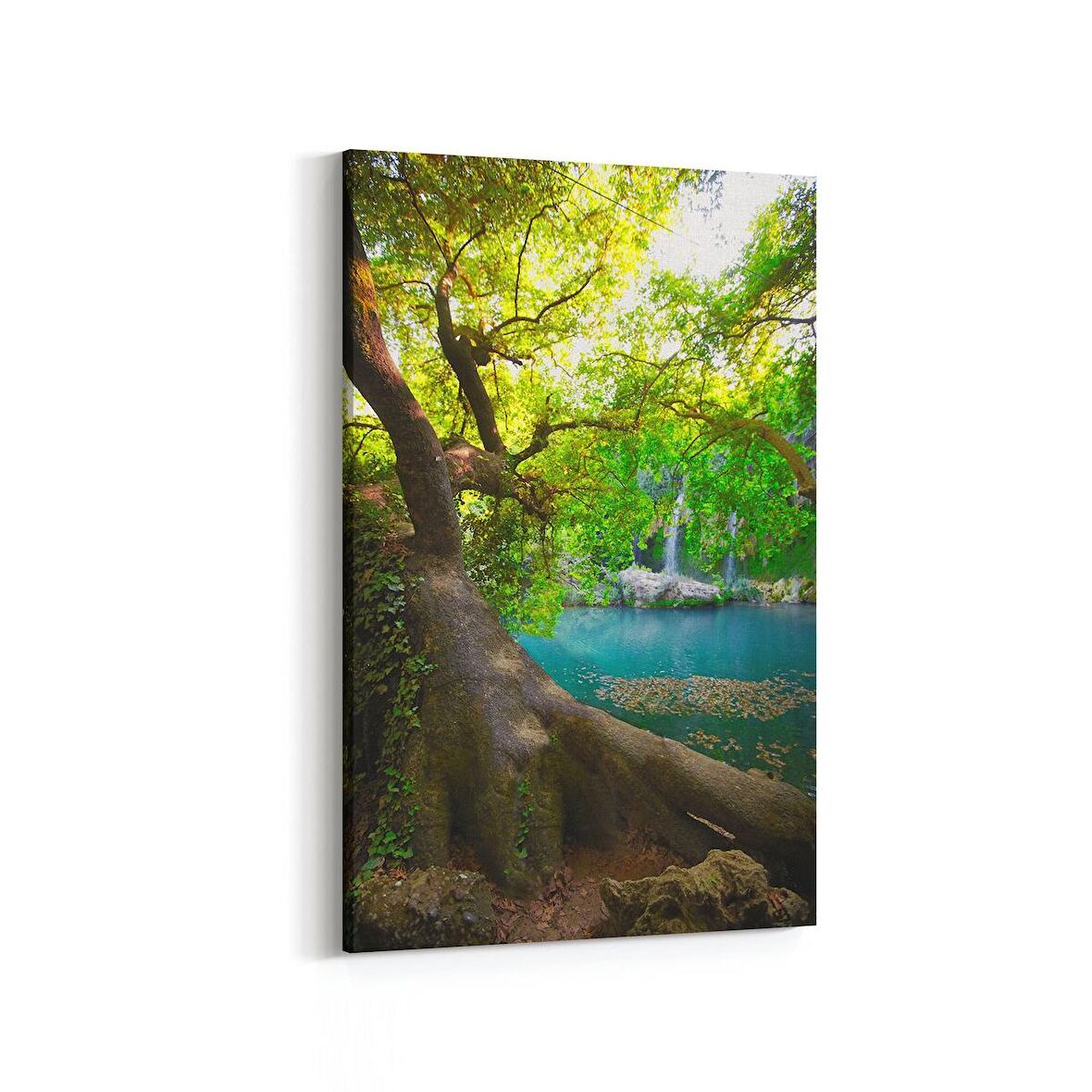 Olla 14497D Doğa / Manzara Görseli Dikey Kanvas Tablo (Ölçü: 100X150)