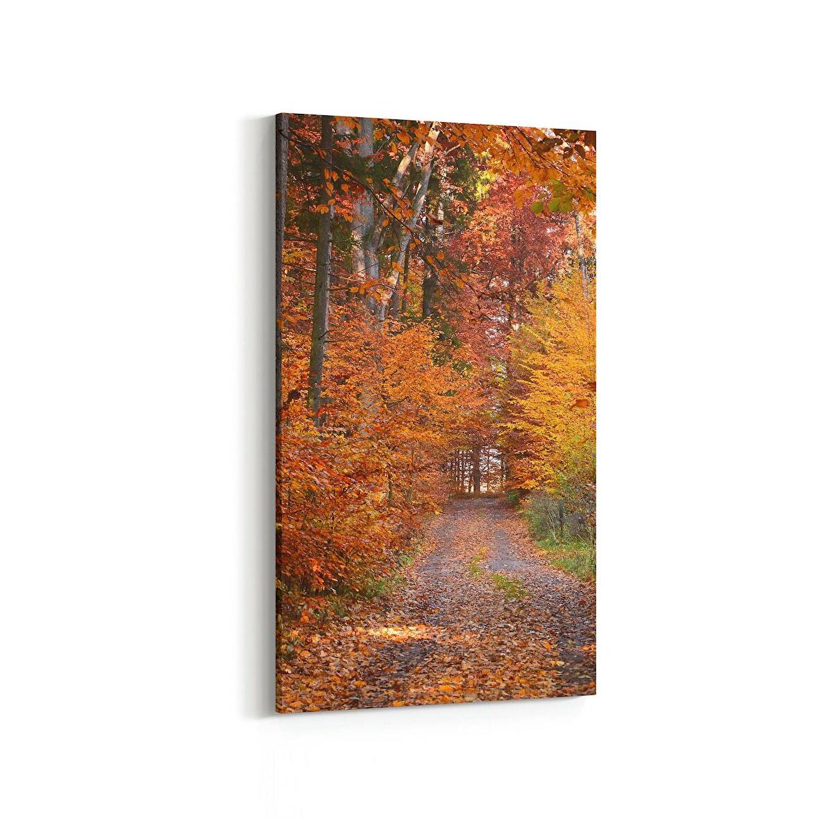 Olla 14146DD Doğa / Manzara Görseli Dikey Dar Kanvas Tablo (Ölçü: 40X80)