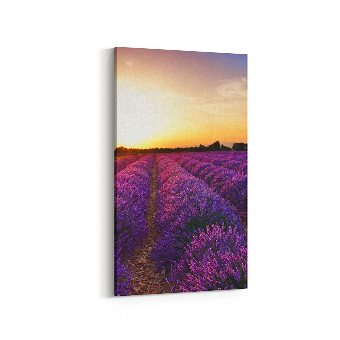 Olla 16002DD Günbatımı Görseli Dikey Dar Kanvas Tablo (Ölçü: 60X120)
