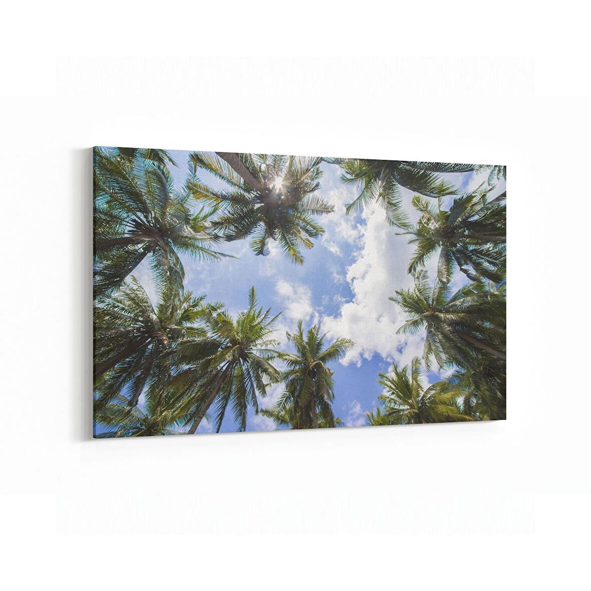Olla 11511Y Palmiye Ağacı Görseli Yatay Kanvas Tablo (Ölçü: 90X60)