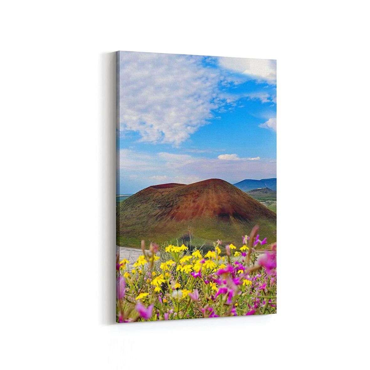 Olla 14353D Doğa / Manzara Görseli Dikey Kanvas Tablo (Ölçü: 100X150)