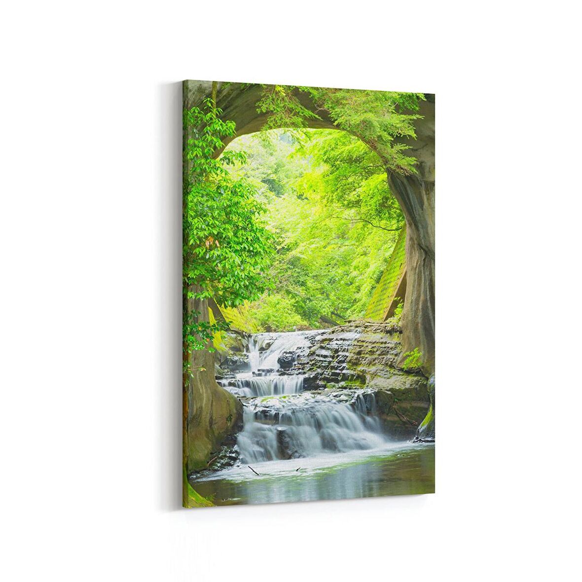 Olla 14336D Doğa / Manzara Görseli Dikey Kanvas Tablo (Ölçü: 60X90)